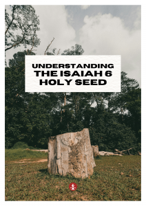 Holy Seed PT Pict