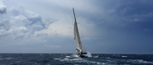 boba-jovanovic-sailing-storm-500x214