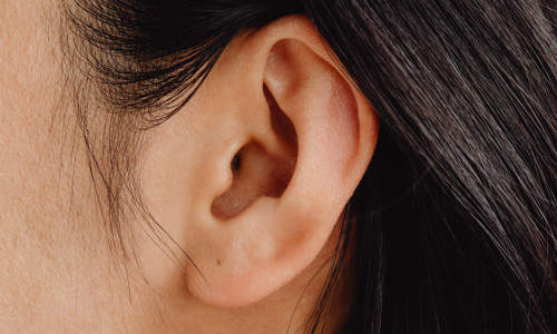 ear 500x300