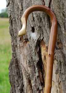 shepherds-crook1-214x3001